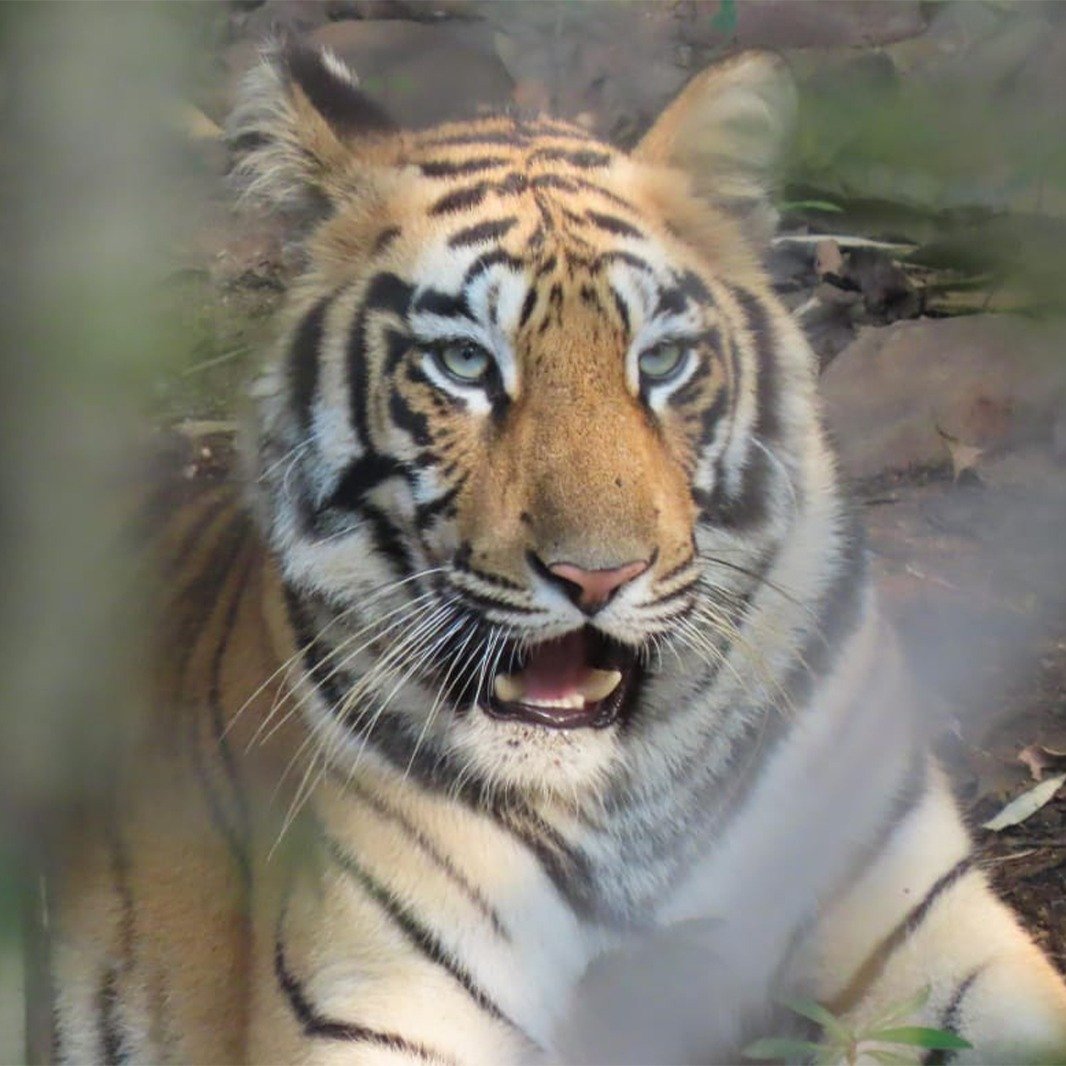 WhatsApp Image 2025-07-31 at 11.31.10 AM